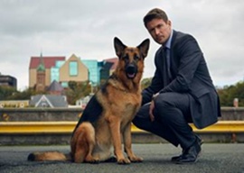 Production Begins on New Original Drama, REX – Coming to Citytv in 2019