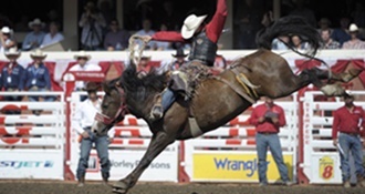 CBC Sports Brings All The Action Of The CALGARY STAMPEDE To Audiences in Canada and Around The World, July 5–14